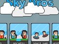 ເກມ Sky Bros