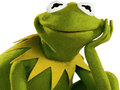 ເກມ Coloring Book For Kermit the Frog 