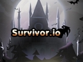ເກມ Survivor.io