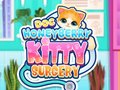 ເກມ Doc HoneyBerry Kitty Surgery