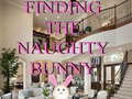 ເກມ Finding The Naughty Bunny