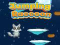 ເກມ Jumping Raccoon