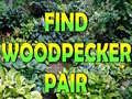 ເກມ Find Woodpecker Pair 