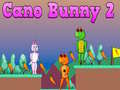 ເກມ Cano Bunny 2