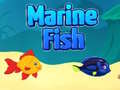 ເກມ Marine Fish