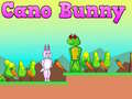 ເກມ Cano Bunny