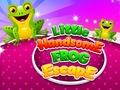 ເກມ Little Handsome Frog Escape