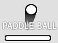 ເກມ PaddleBall
