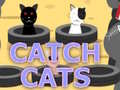 ເກມ Catch Cats