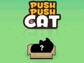 ເກມ Push Push Cat
