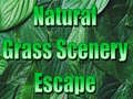 ເກມ Natural Grass Scenery Escape