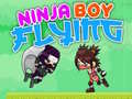 ເກມ Ninja Boy Flying