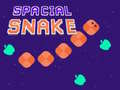 ເກມ Spacial Snake