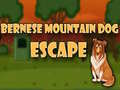 ເກມ Bernese Mountain Dog Escape