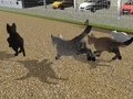ເກມ Run Cat Cat Race