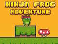 ເກມ Ninja Frog Runner