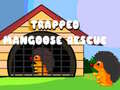ເກມ Trapped Mangoose Rescue