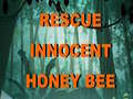 ເກມ Rescue Innocent Honey Bee 
