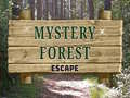 ເກມ Mystery Forest