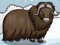 ເກມ Rescue The Musk Ox