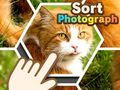 ເກມ Sort Photograph