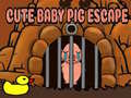 ເກມ Cute baby Pig escape