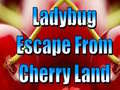 ເກມ Ladybug Escape From Cherry Land