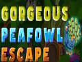 ເກມ Gorgeous Peafowl Escape