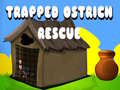 ເກມ Trapped Ostrich Rescue