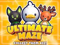 ເກມ Ultimate Maze! Collect Them All!