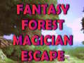 ເກມ Fantasy Forest Magician Escape