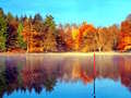 ເກມ Fishing Simulator Online