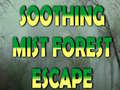 ເກມ Soothing Mist Forest Escape