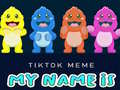 ເກມ TikTok Meme My Name Is