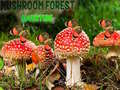 ເກມ Mushroom Forest Adventure