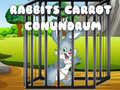 ເກມ Rabbits Carrot Conundrum