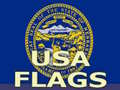 ເກມ Usa Flags 