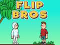 ເກມ Flip Bros