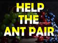 ເກມ Help The Ant Pair