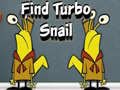 ເກມ Find Turbo Snail