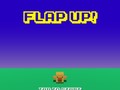 ເກມ Flap Up
