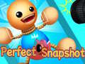 ເກມ Perfect Snapshot
