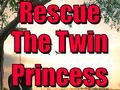 ເກມ Rescue The Twin Princess