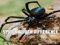 ເກມ Spider Hidden Difference