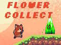 ເກມ Flower Collect