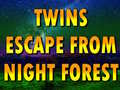 ເກມ Twins Escape From Night Forest