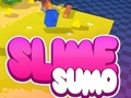 ເກມ Sumo Slime 3D