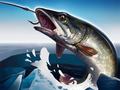 ເກມ Ice Fishing 3D