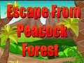 ເກມ Escape From Peacock Forest