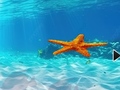 ເກມ Escape From Underwater Starfish